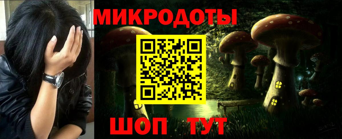 Псилоцибиновые грибы мицелий Верхняя Салда